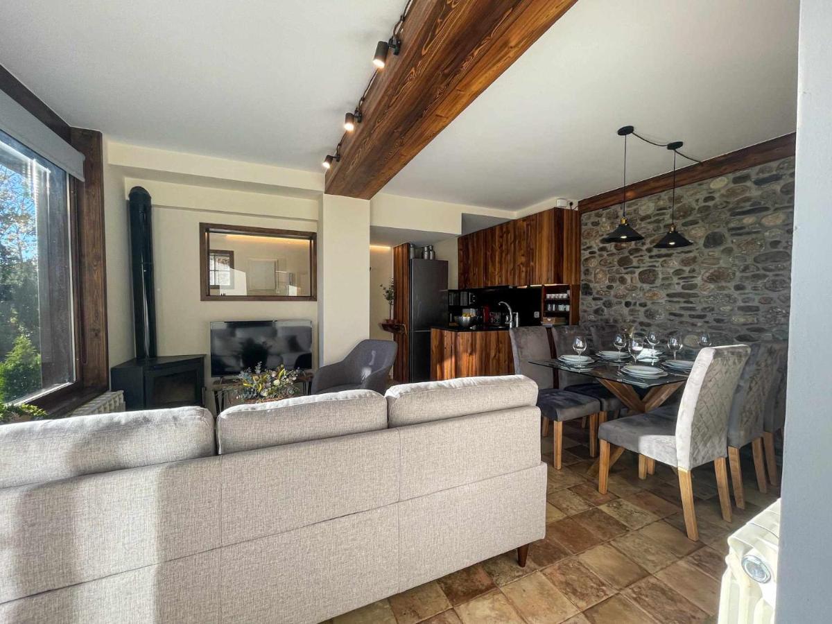 Puigcerda Cal Gatesques 4 Apartman Kültér fotó